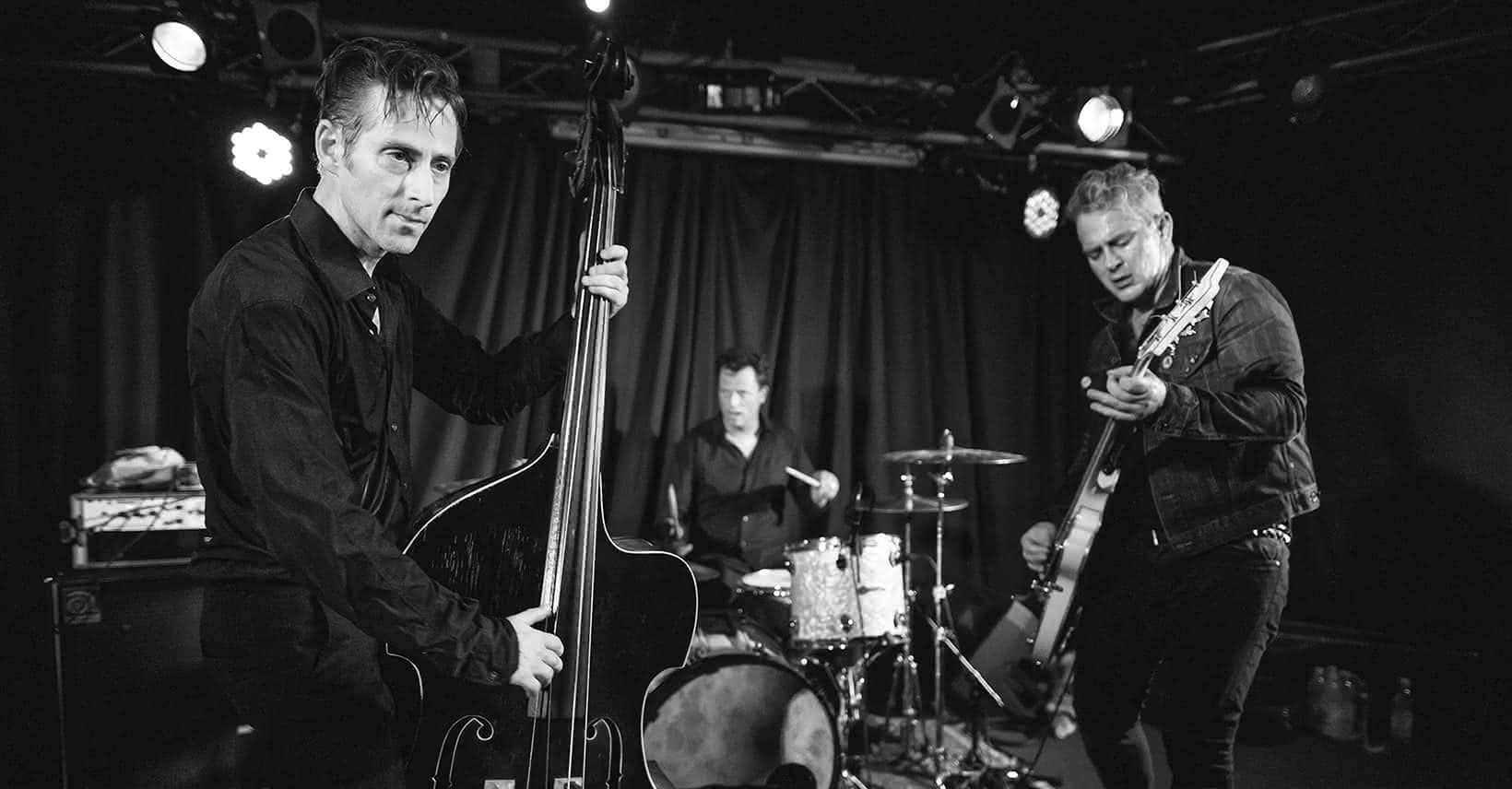 The Peacocks – Official Website